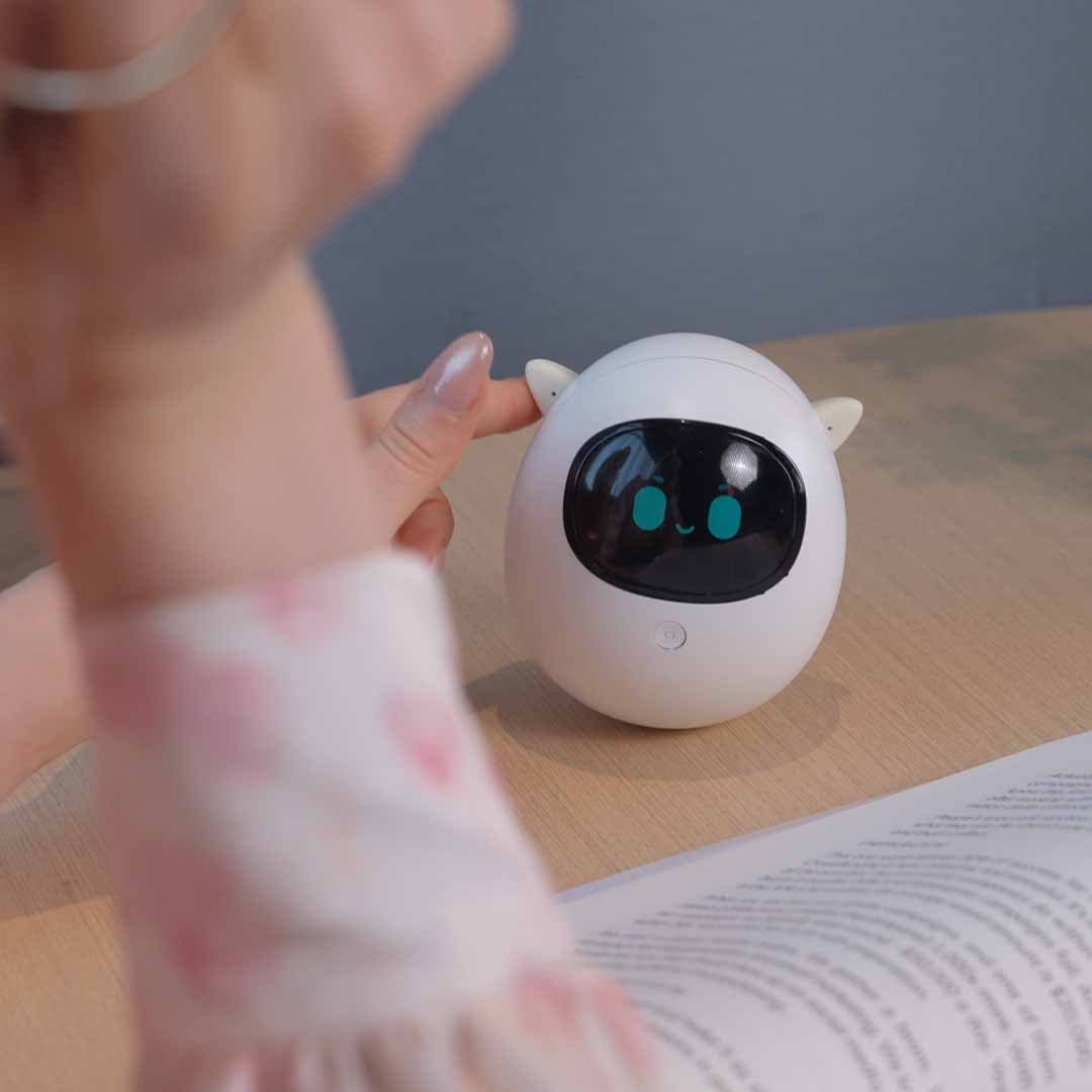 Gentle Companion For Quiet Moments