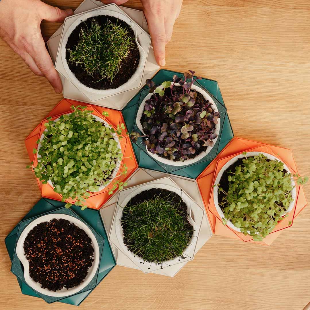 This Self-Watering Pot Grows With Your Plant