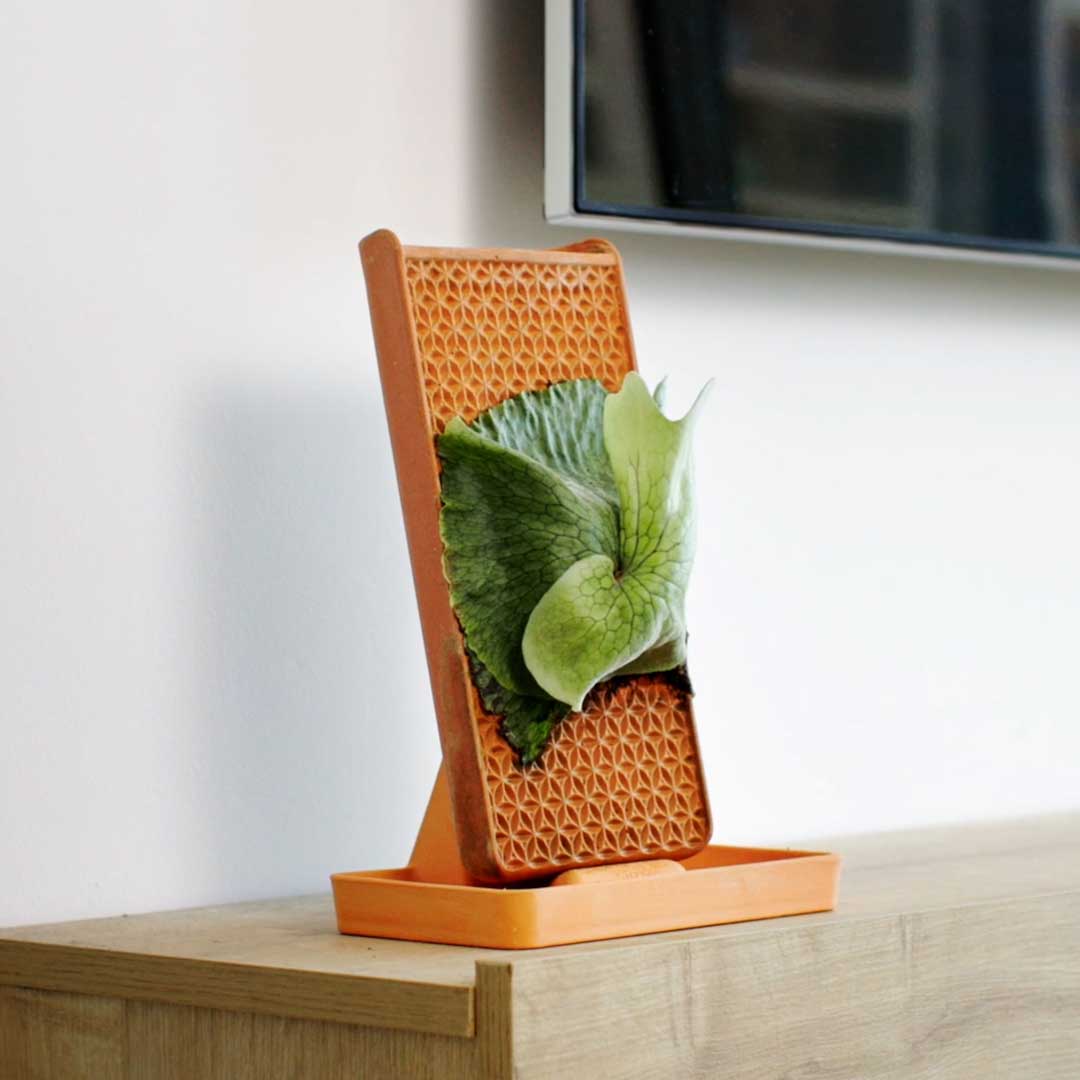 Self-Watering Planter Tile Inspired By Nature