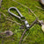 A Whistle That Could Save Your Life