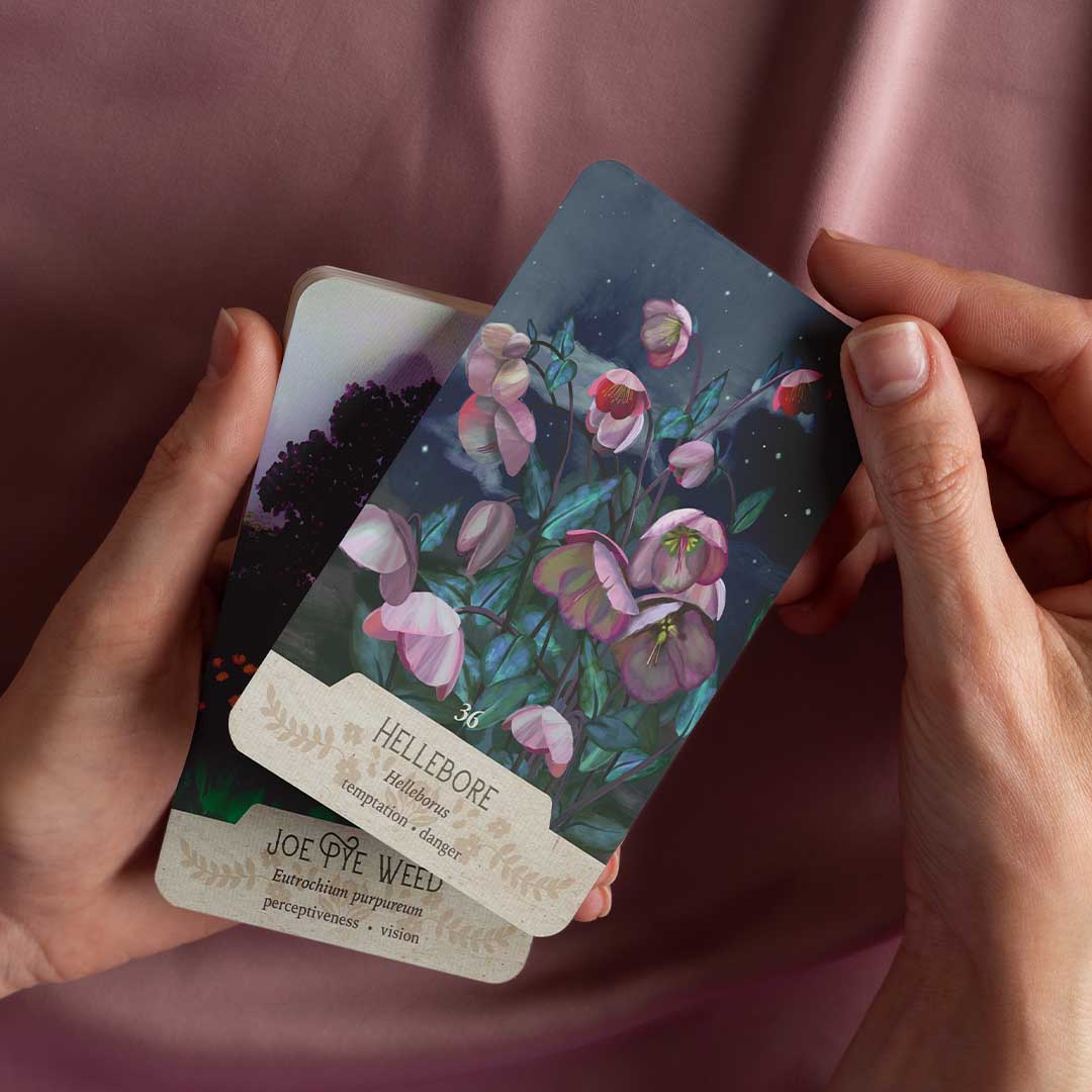 Love American South Folklore? This Oracle Deck Has It All