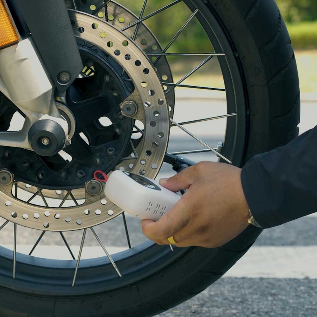 Big Air, Tiny Companion