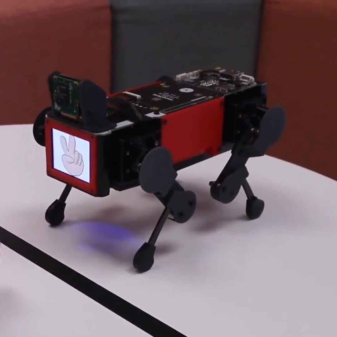 Learn Robotics With Beginner-Friendly Robots