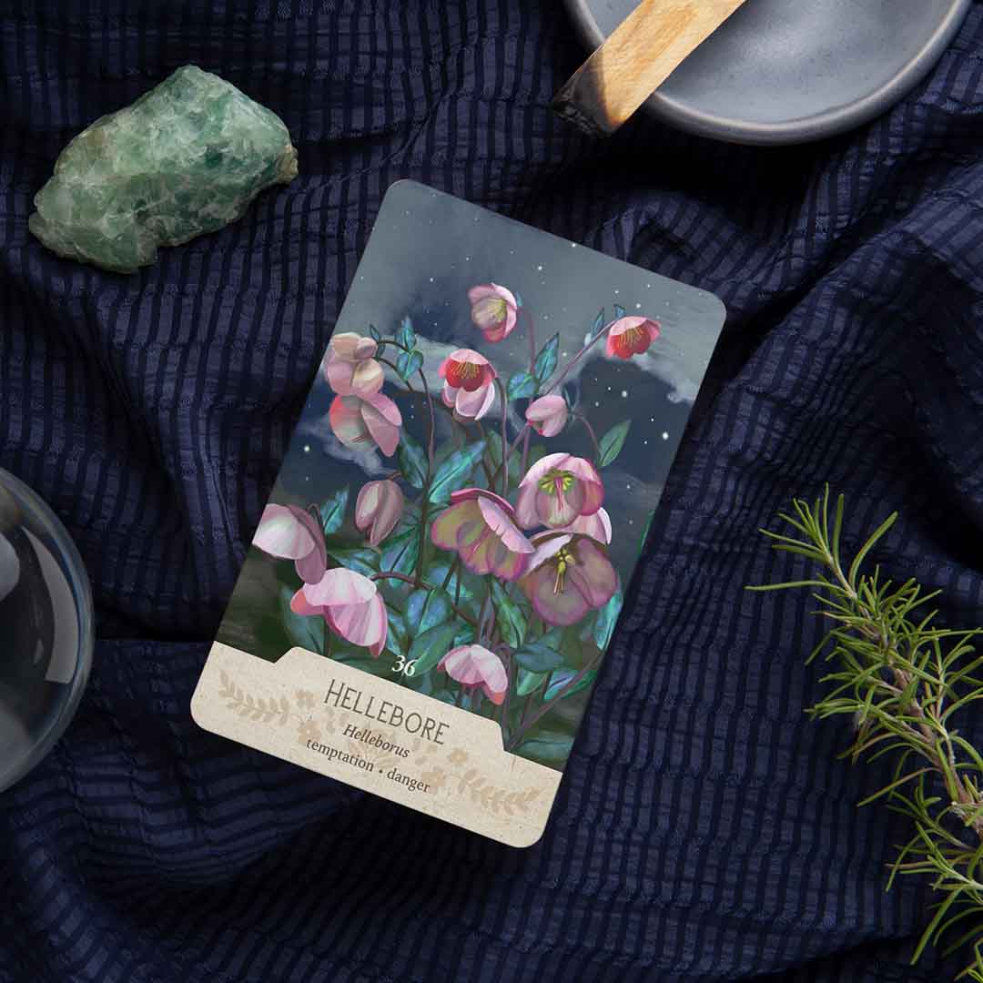 Love American South Folklore? This Oracle Deck Has It All
