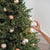 The Last Tree You'll Ever Need