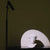 Light Designed for Creators