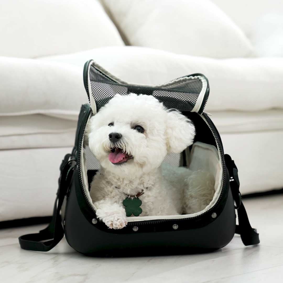 Hard-Shell Pet Carrier, No Droopy Floors