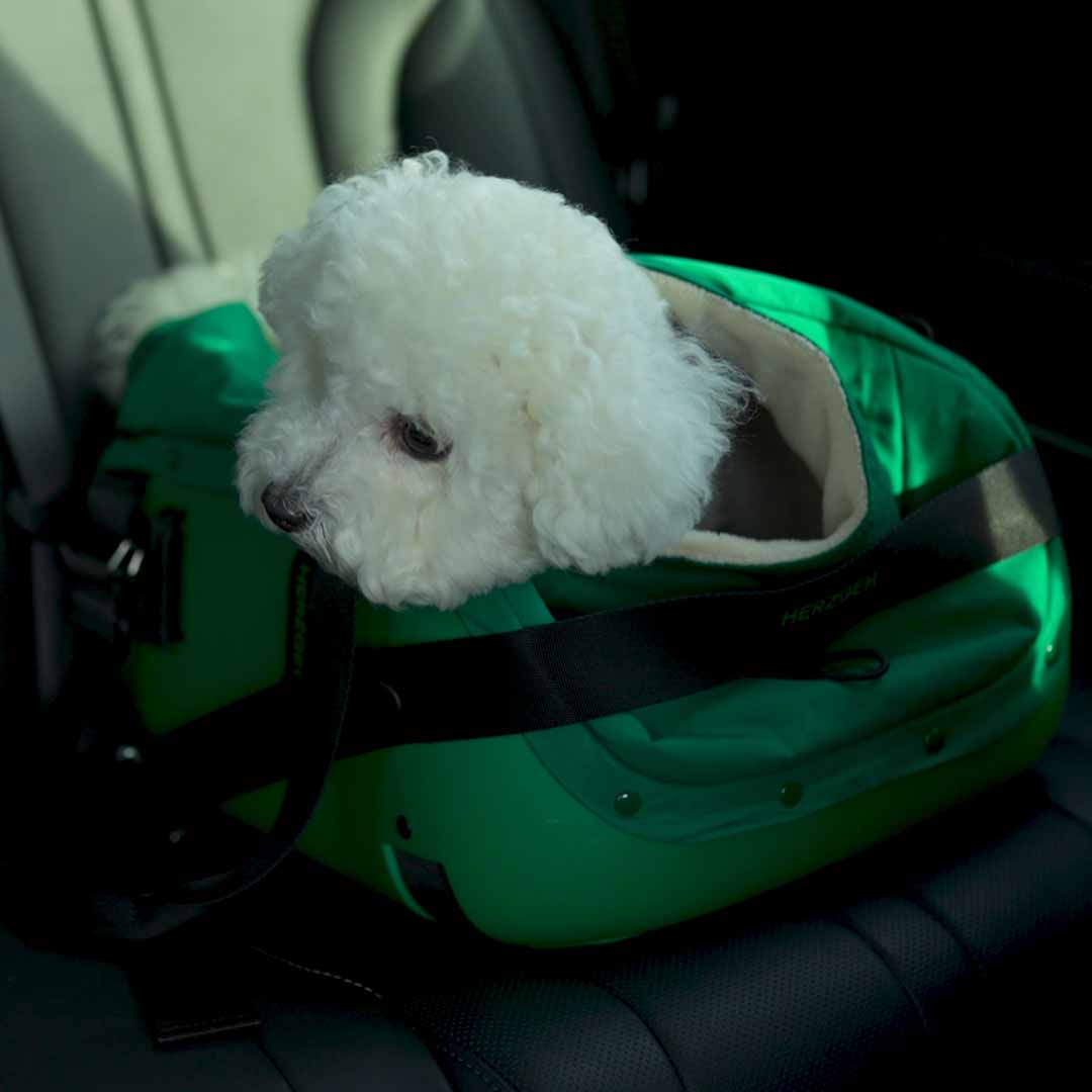 Hard-Shell Pet Carrier, No Droopy Floors