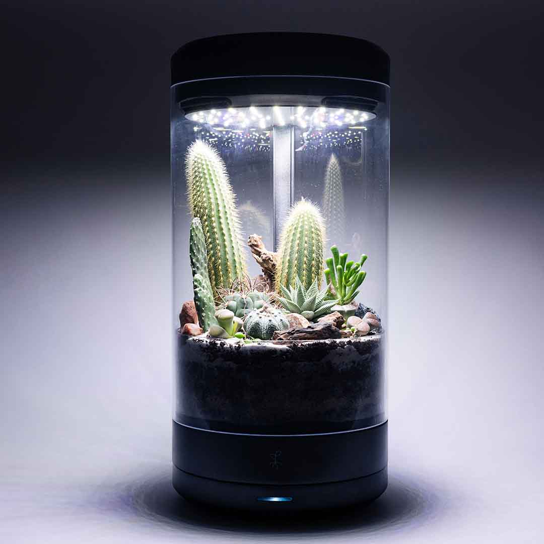 Bring Nature to Your Desk, Effortlessly