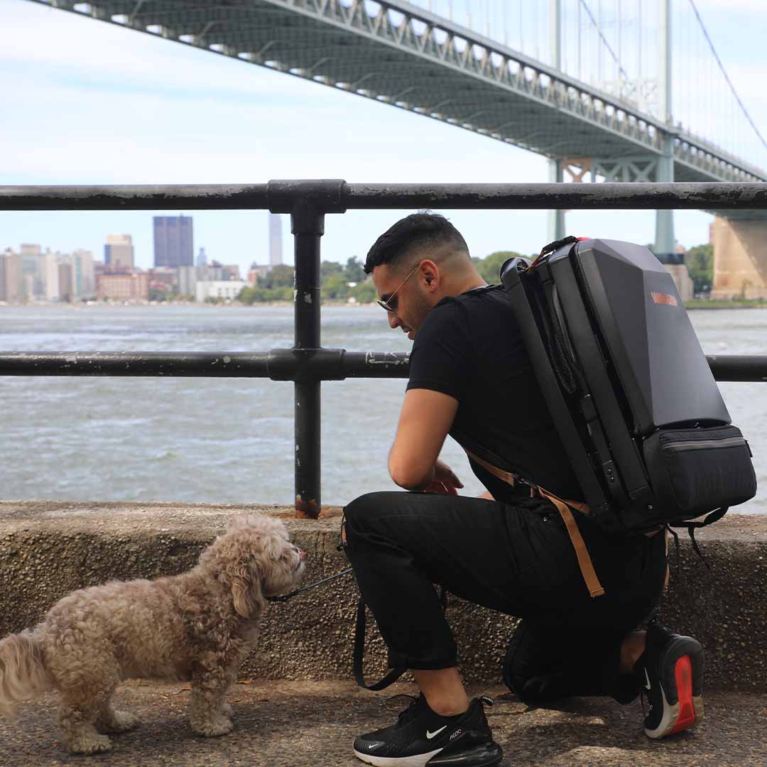 A Backpack, Stroller, & Bike Trailer For Your Dog