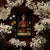 Tarot Reimagined with Dreamy Renaissance Elegance