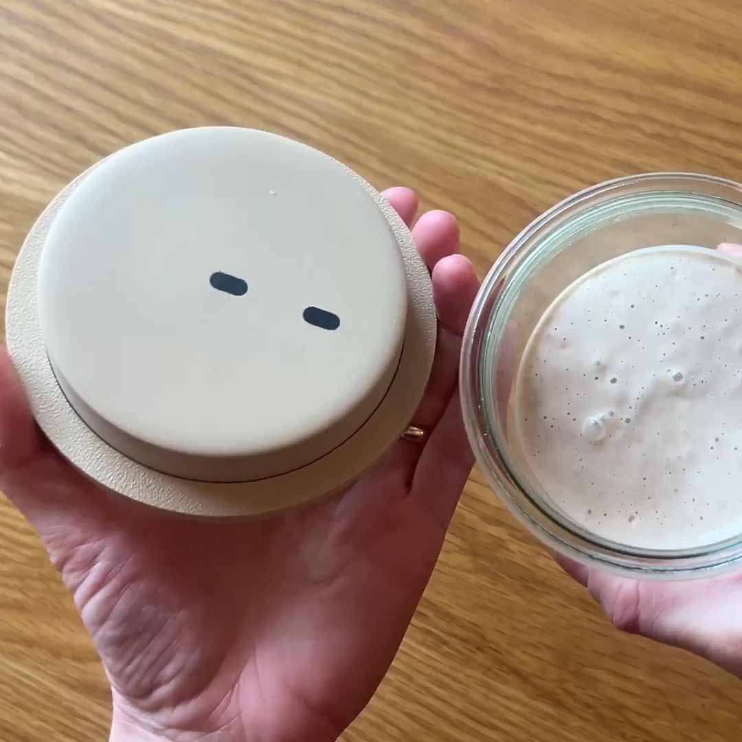 Know Your Dough's Perfect Moment