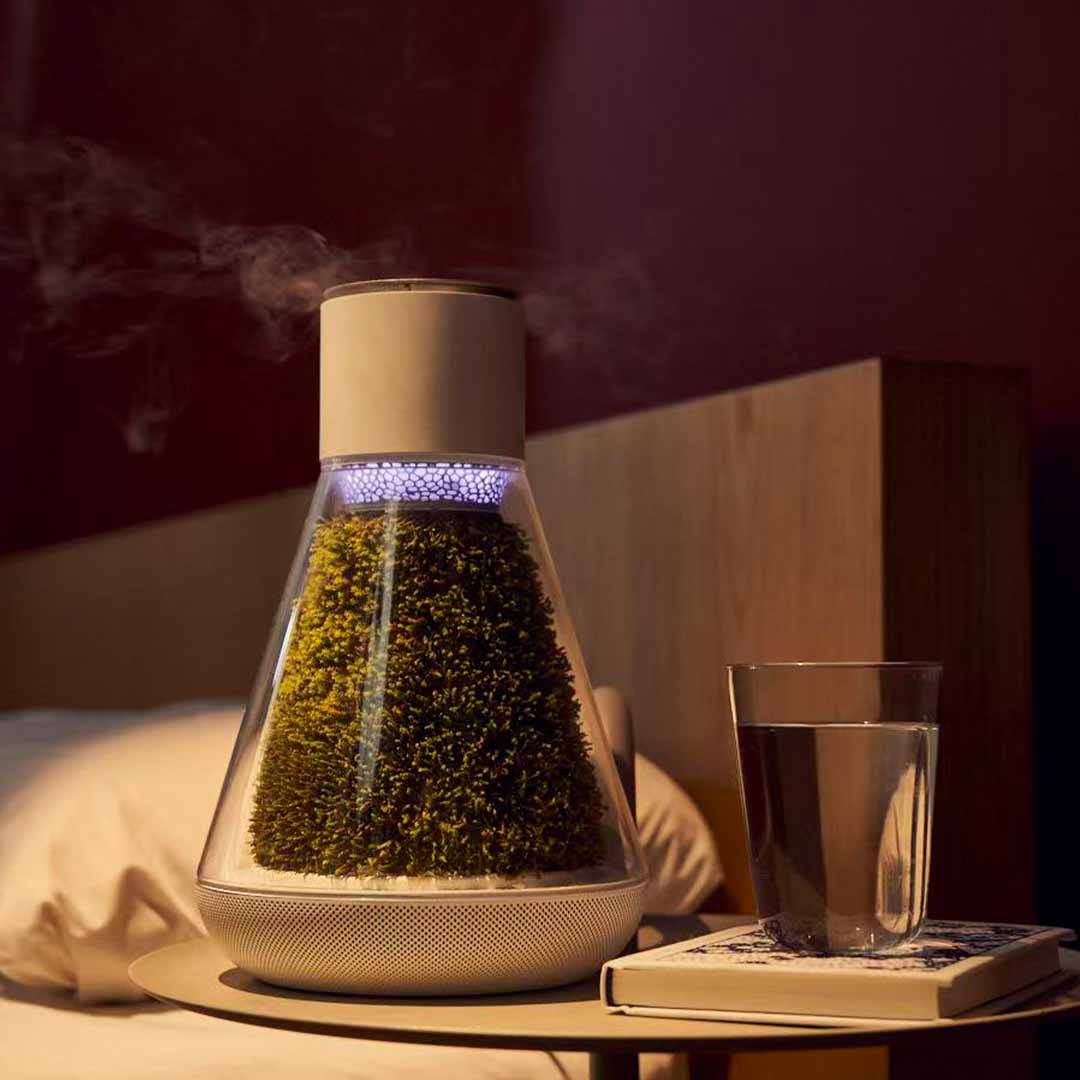 Natural Moss, Fresher Air