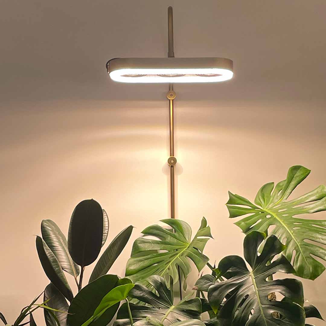 The 48W Grow Light With Airflow