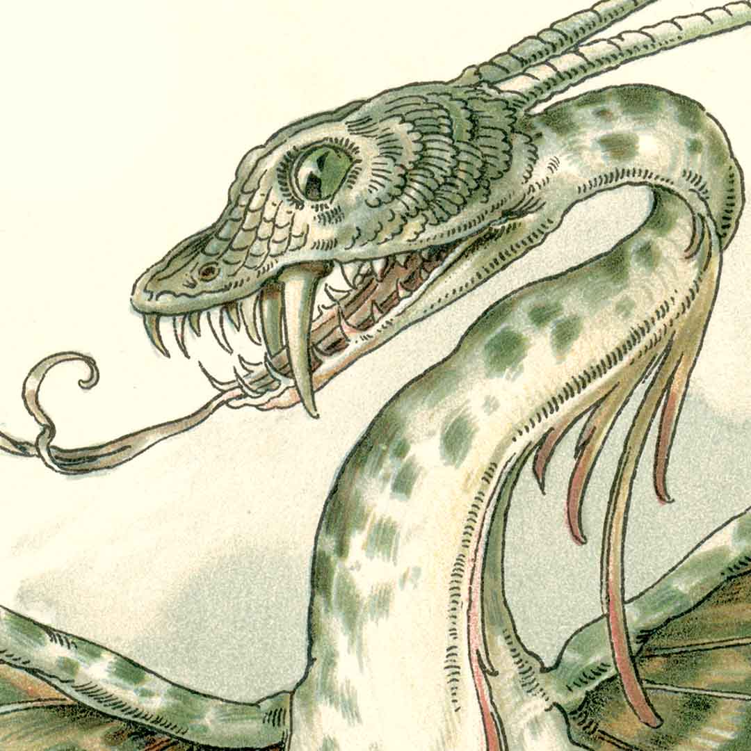 The Art Nouveau Dragons Of Anton Seder