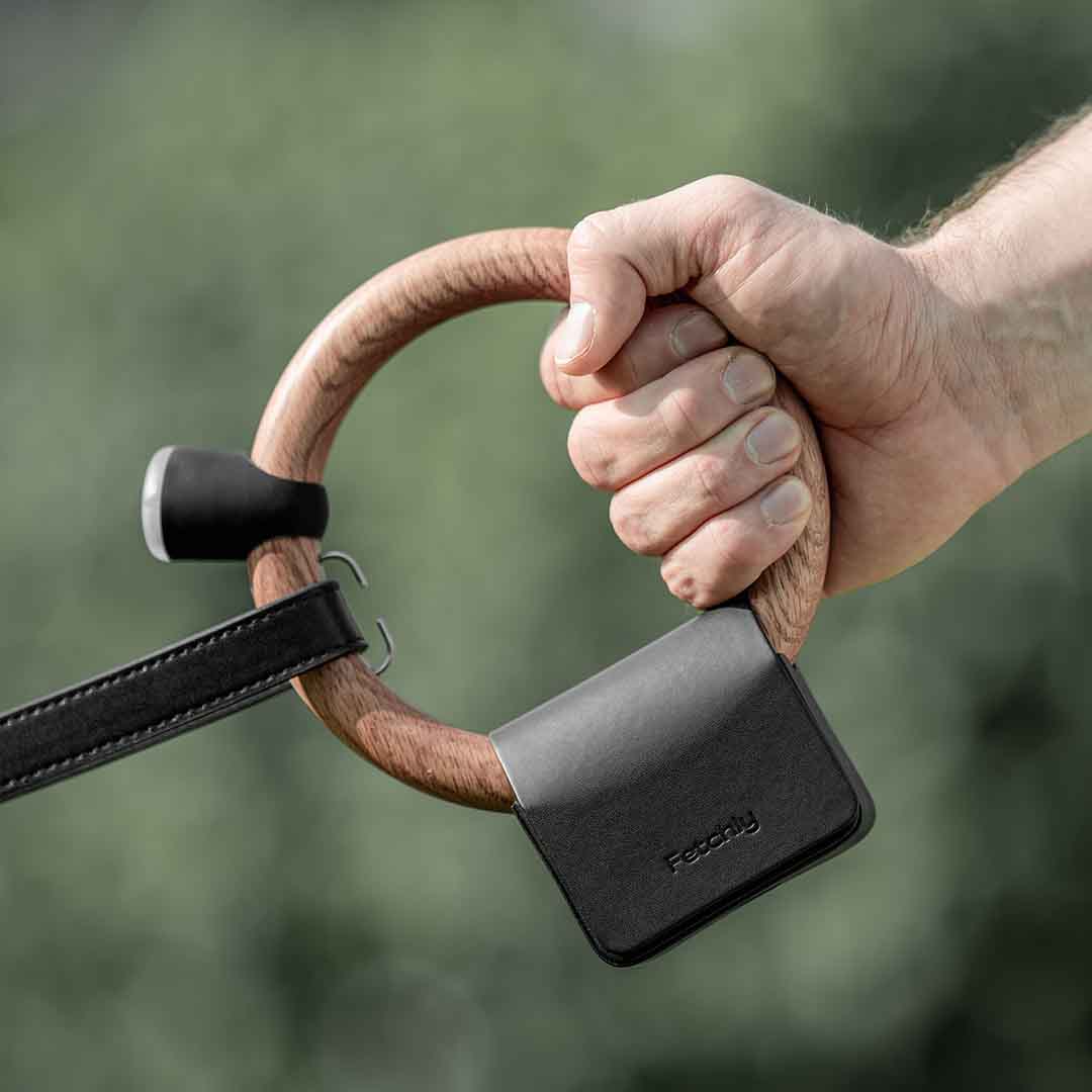 The Magnetic Leash That Adapts