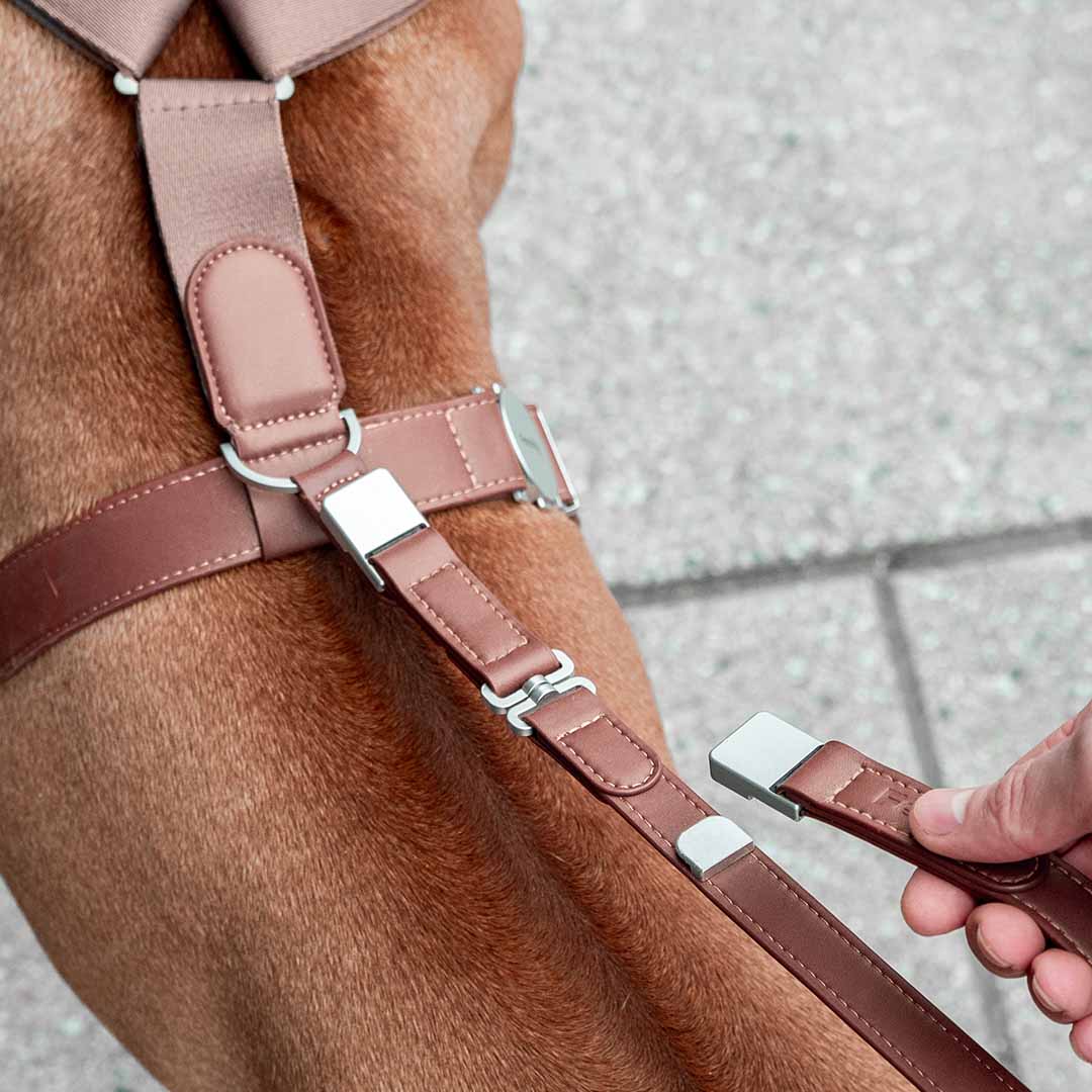 Engineered To Leash Up In One Click