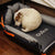 Adventure-Ready Dog Pad: Durable, Comfy, and Insect-Proof