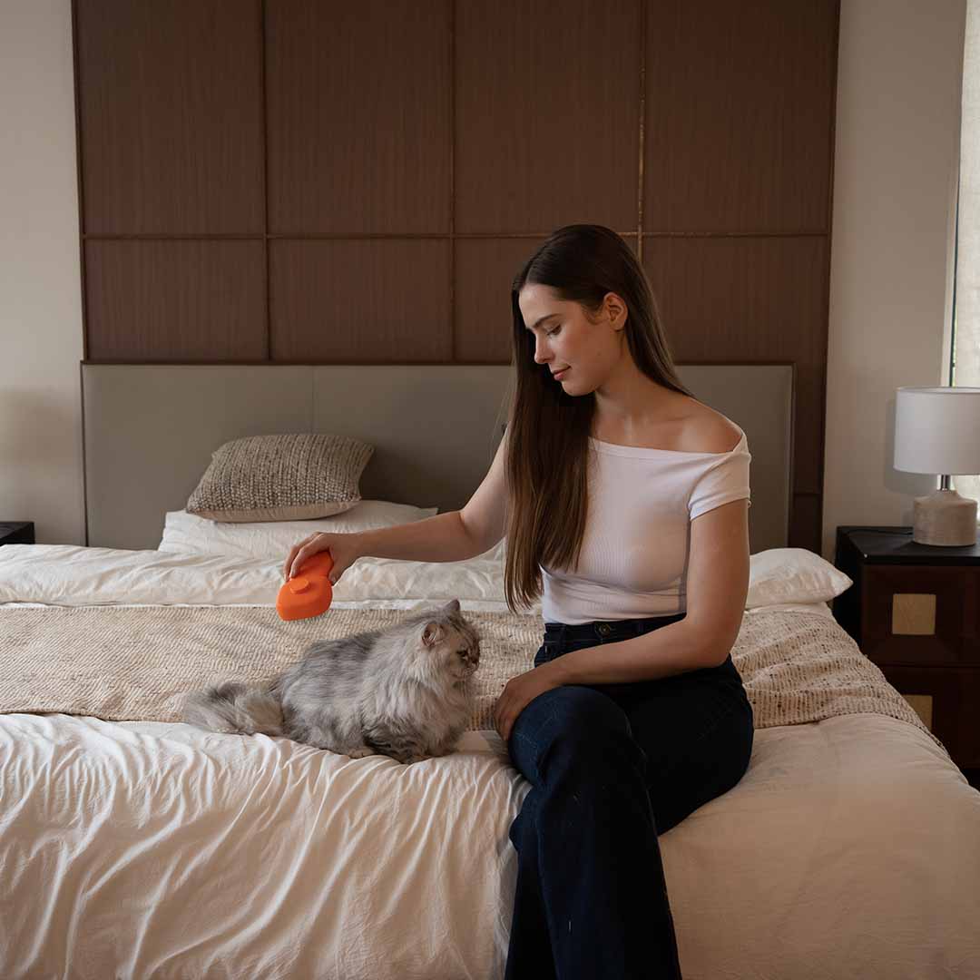 The Pet Brush That Kills 99.9% Bacteria