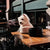 40oz Splash-Free Ceramic Pet Bowl