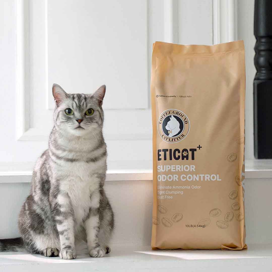 Innovative Cat Litter Crafted From Coffee Grounds