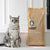 Innovative Cat Litter Crafted From Coffee Grounds