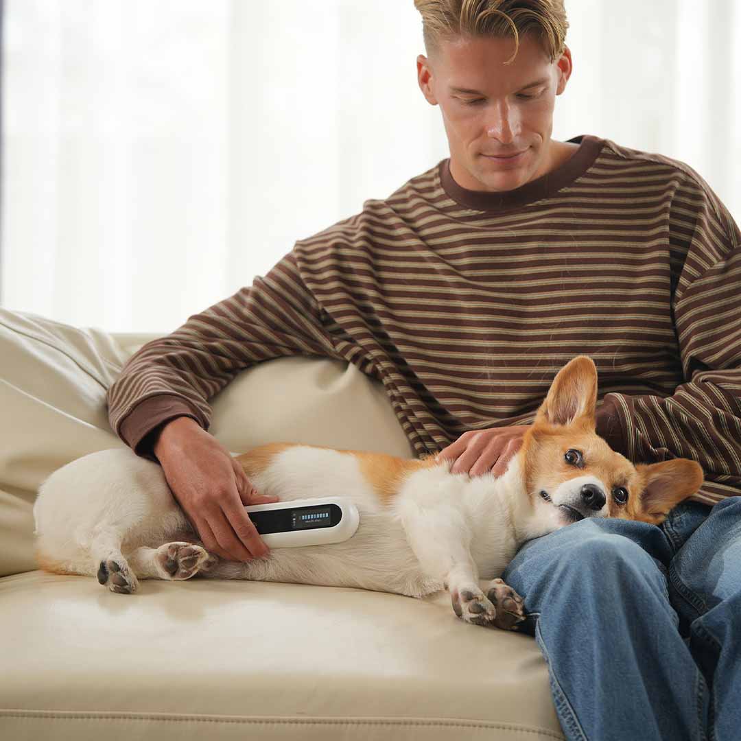 Track Pet Health in Just 15 Seconds