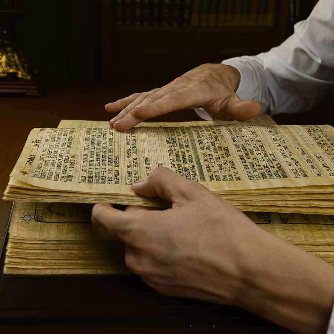 Touch What Others Only Dream Of