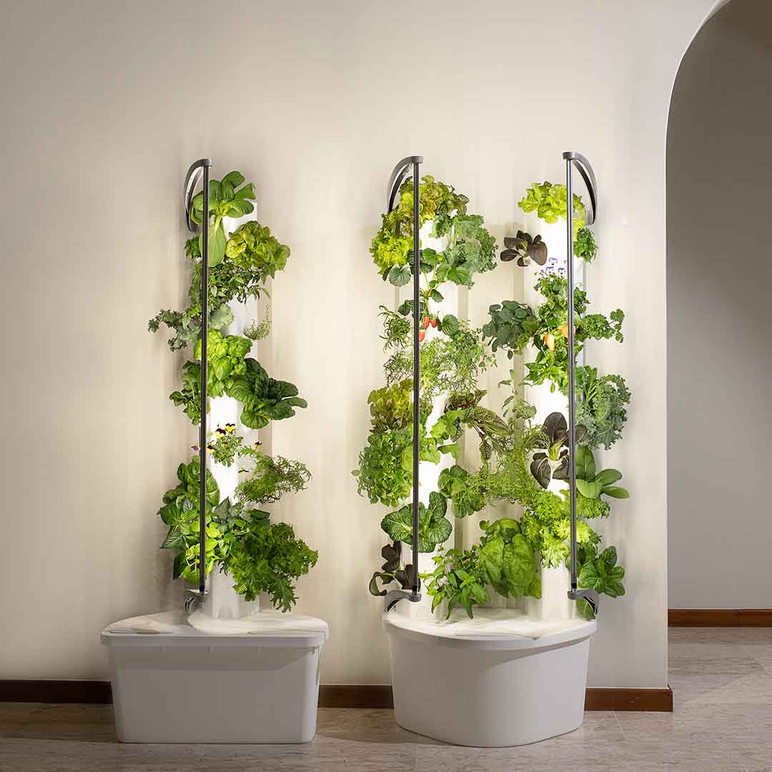 High-Yield Hydroponic System That Adapts To Your Growing Needs