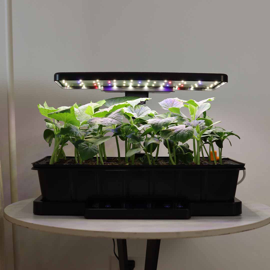 Start Strong, Grow Smarter