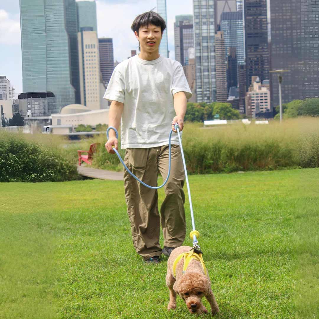 The Dog Leash Reinvented