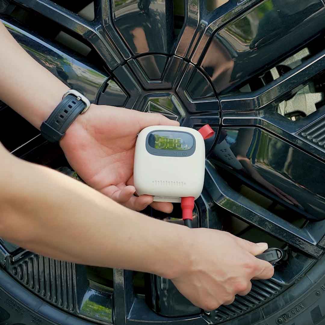 Big Air, Tiny Companion