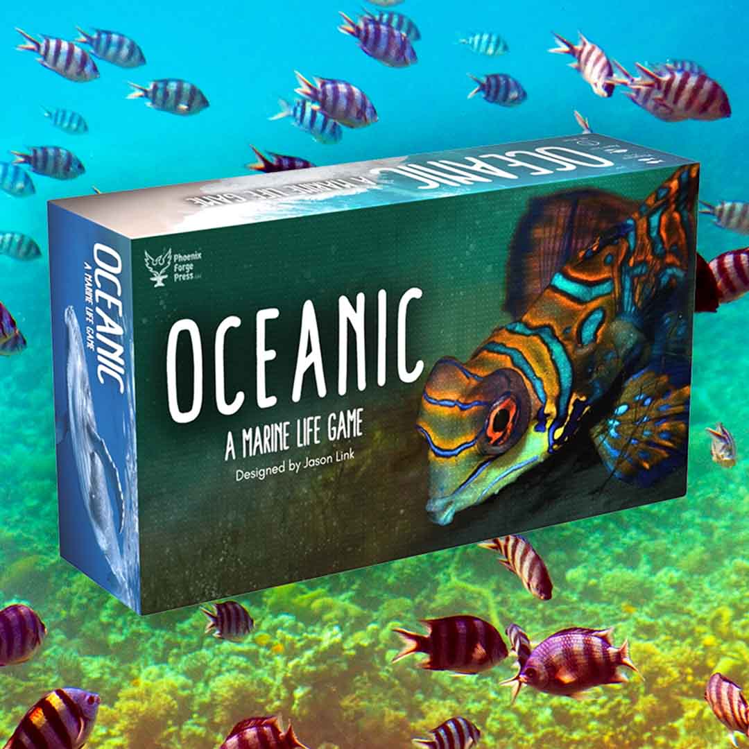 Build An Ocean That Everyone Has To Share