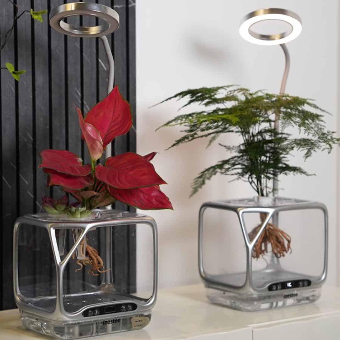 A Living Ecosystem On Your Desk