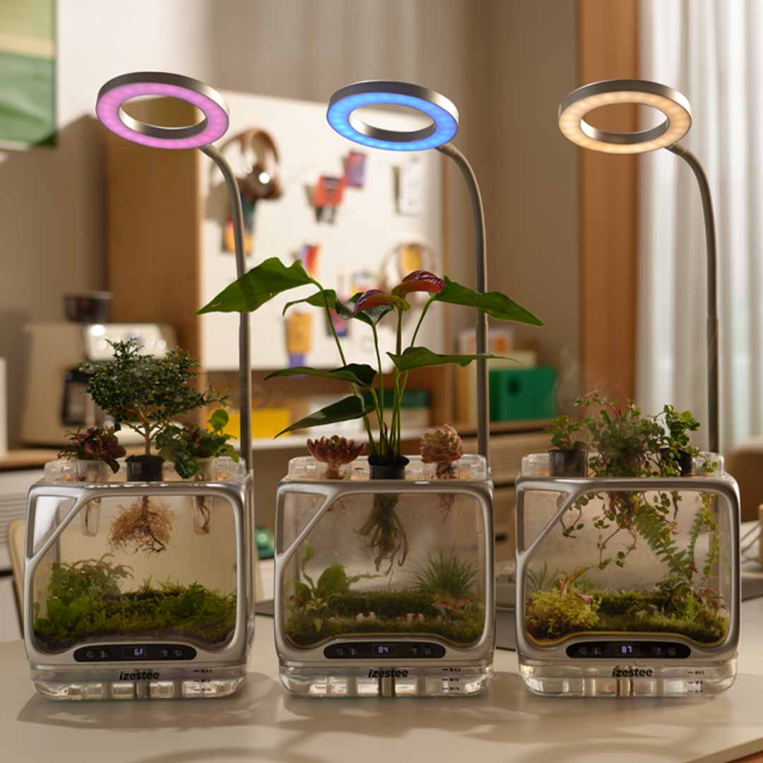 World's First Scenic Aeroponic Ecosystem