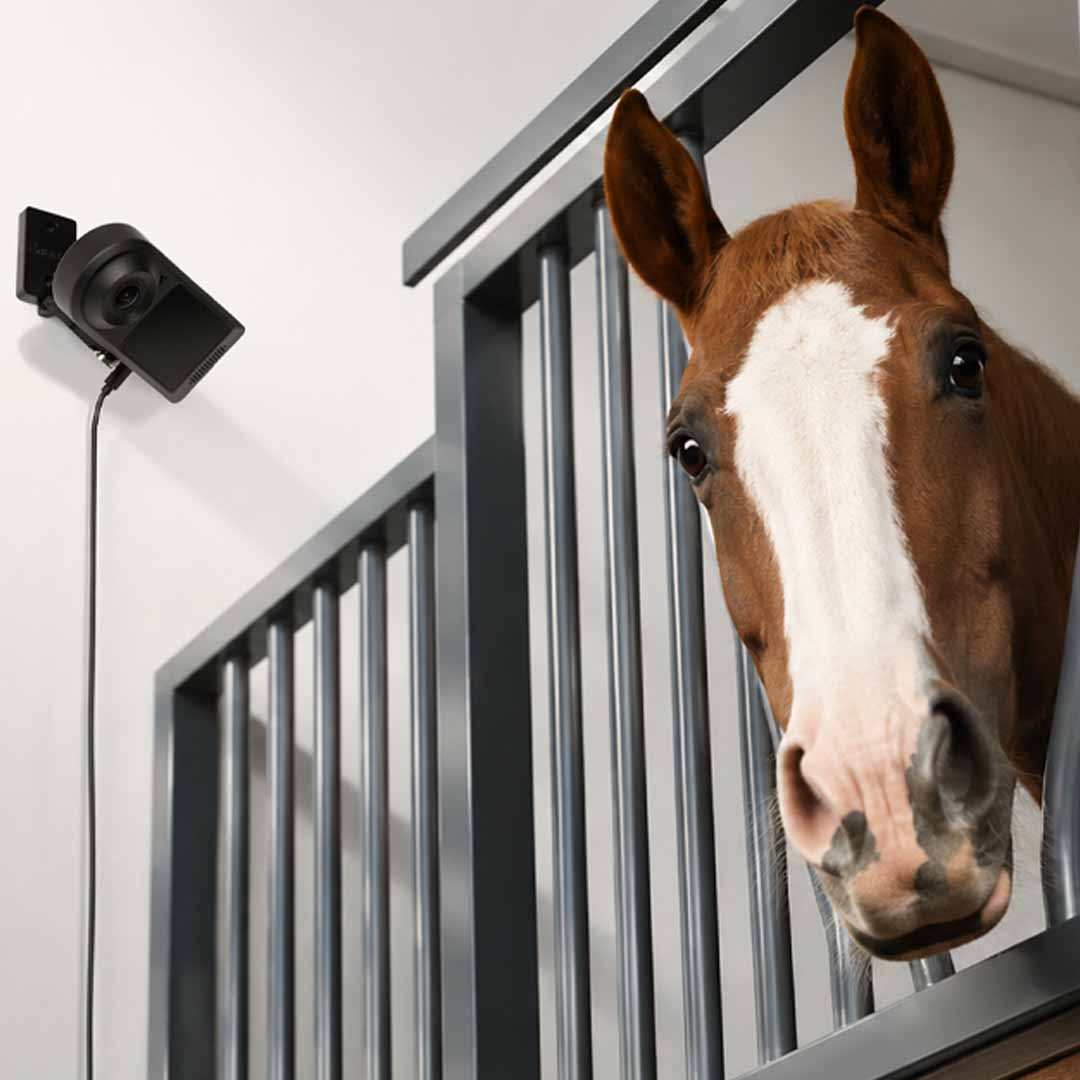 AI Horse Monitor With Smart Behavior Alerts