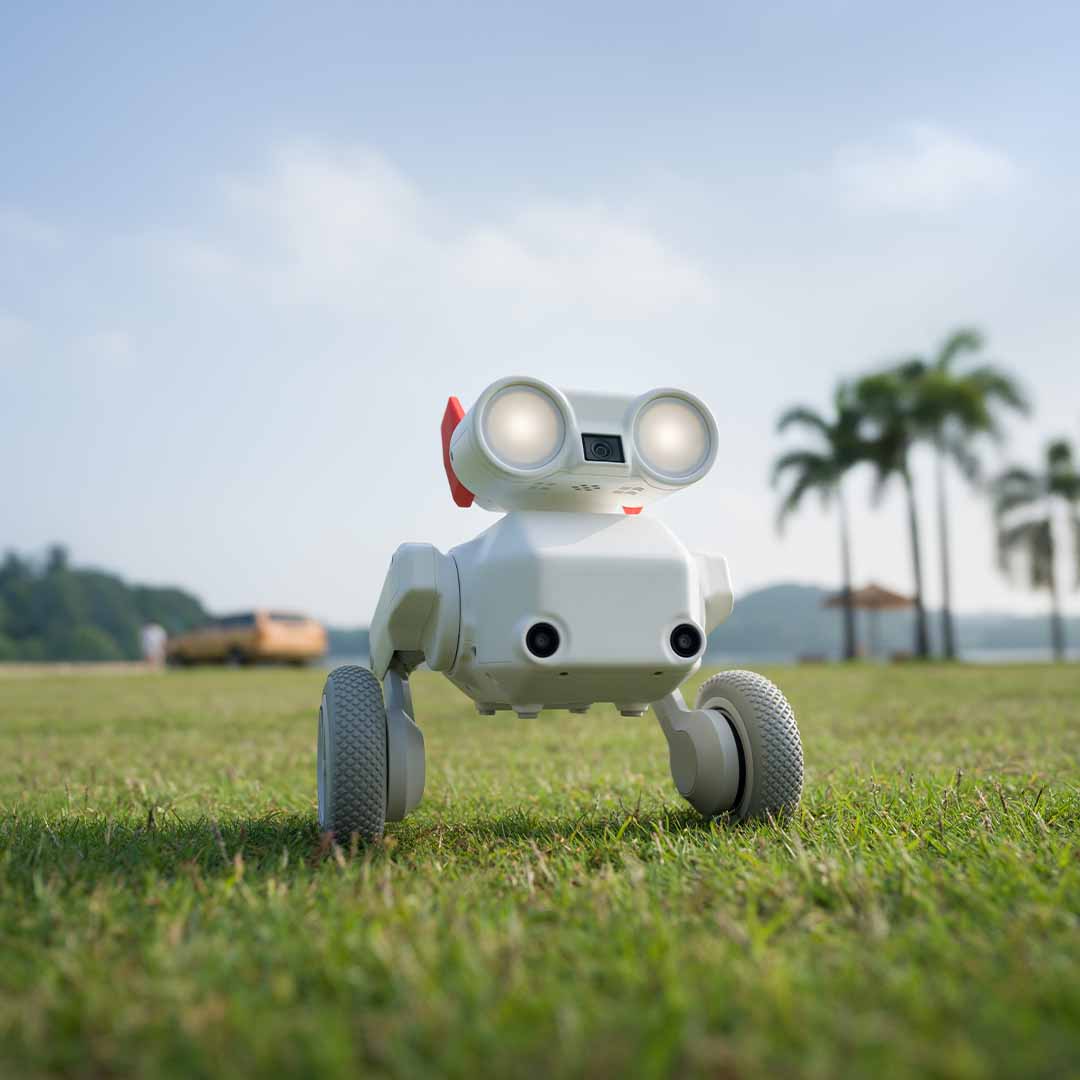 Your All-Terrain Robot Camera Operator