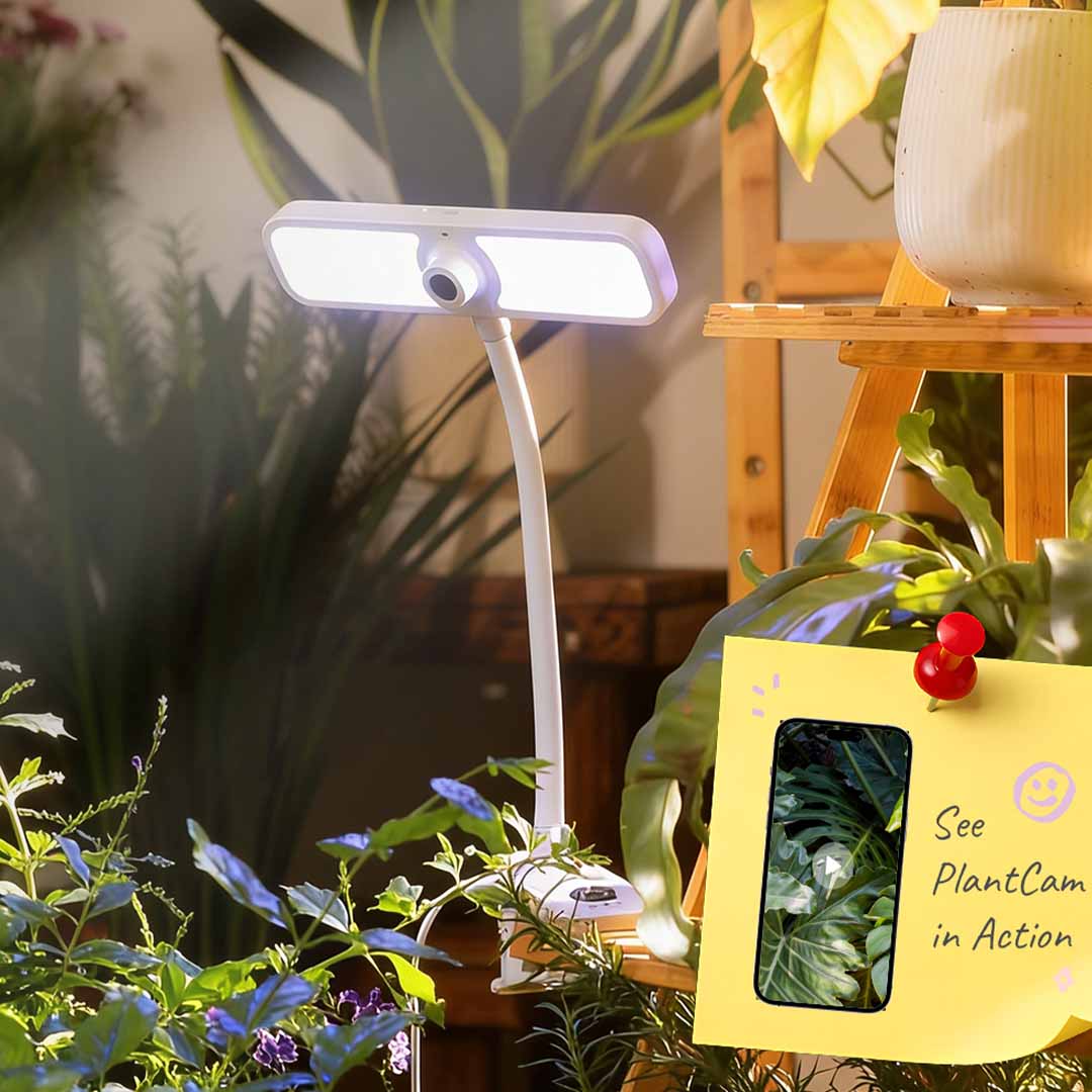 AI Plant Time-Lapse Grow Light Camera