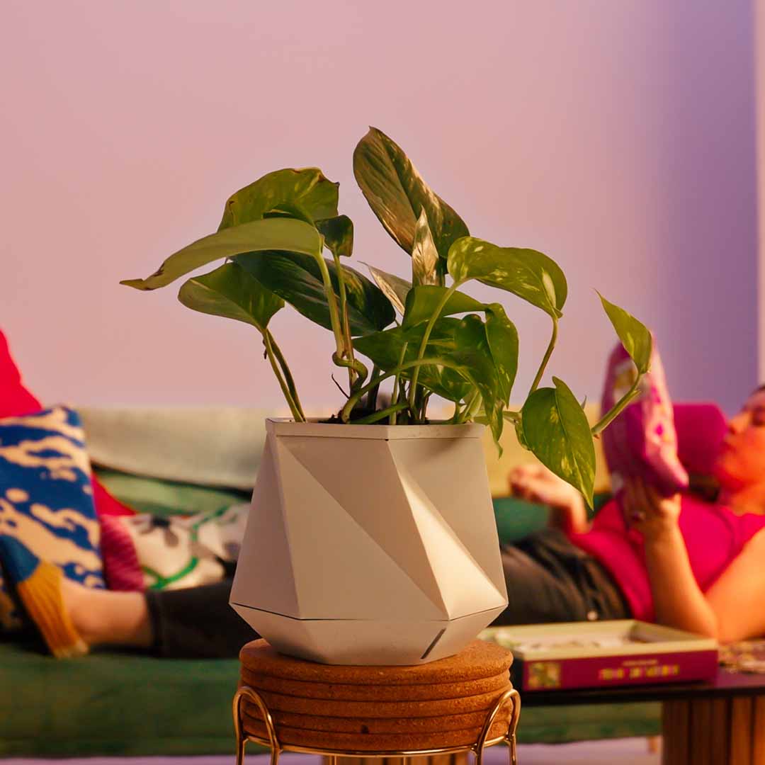This Self-Watering Pot Grows With Your Plant