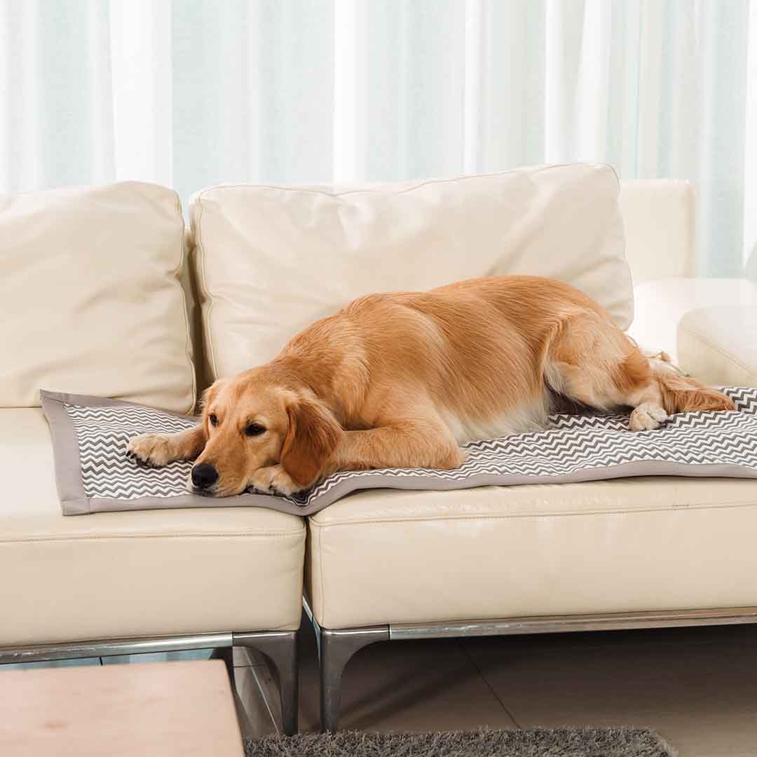 Ultra-Slim Heating Pad With Carbon Fiber Tech