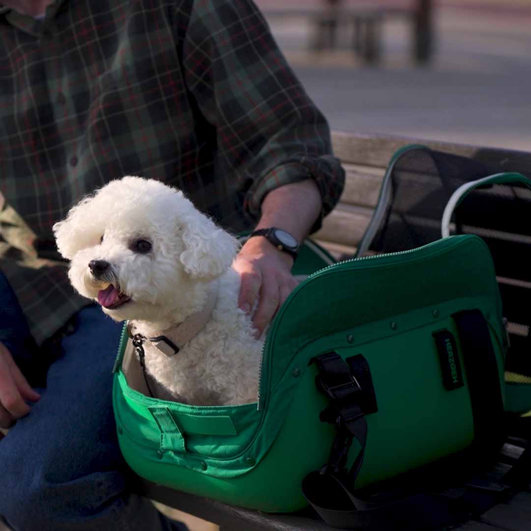 Hard-Shell Pet Carrier, No Droopy Floors