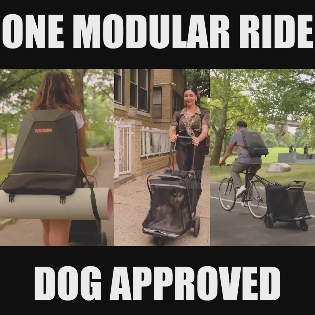 A Backpack, Stroller, & Bike Trailer For Your Dog