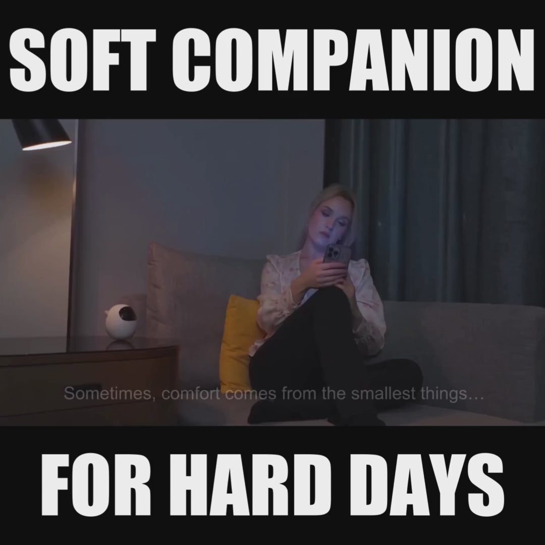 Gentle Companion For Quiet Moments