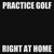 Practice & Play Golf In Your Living Room