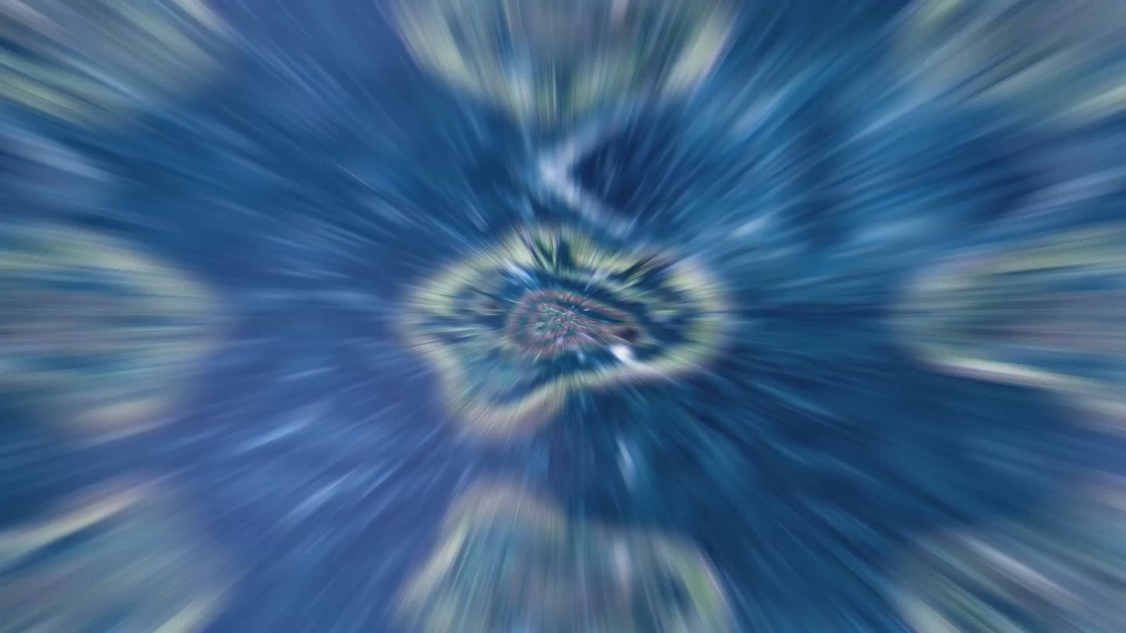 Darwin M2 - Professional-Grade Digital Microscope with 1600X Zoom